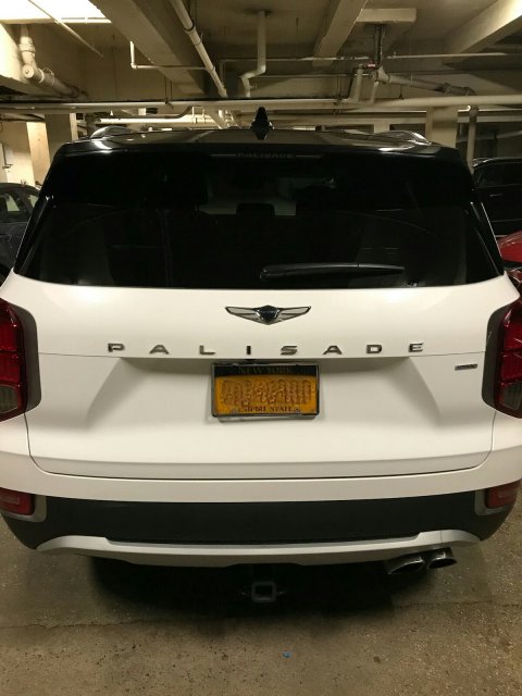 Palisade Rear.jpg