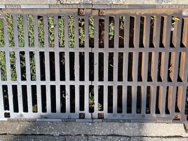 grate2.jpg