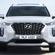 Official Forest Rain Hyundai Palisade Pictures Thread ...